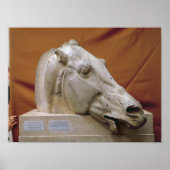 Head of a Horse of Selene Poster (Vorne)