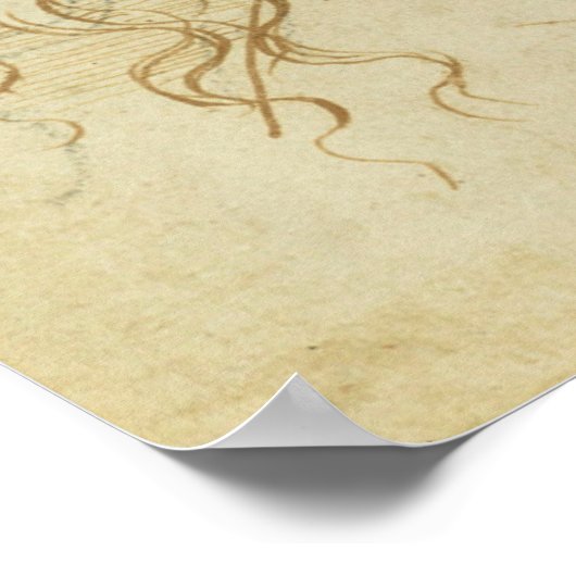 Head of Leda Da Vinci Poster (Ecke)