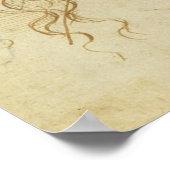 Head of Leda Da Vinci Poster (Ecke)