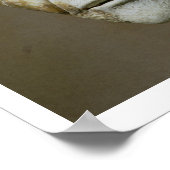 Head of Philip the Arab, Roman Emperor (244-249) ( Poster (Ecke)