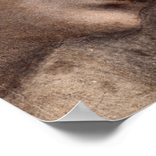 Head of Virgin Poster (Ecke)