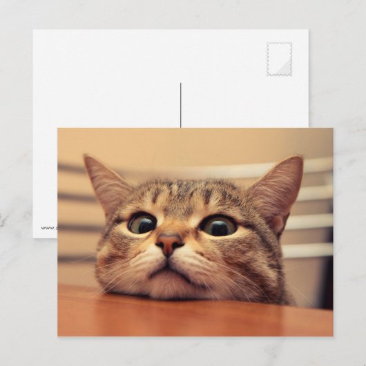 Head on table postkarte (Vorne/Hinten)