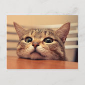 Head on table postkarte (Vorderseite)