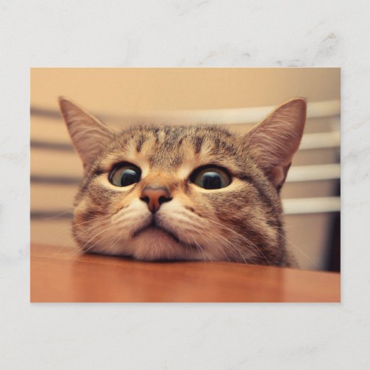 Head on table postkarte (Vorderseite)