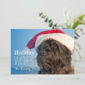 Head portrait of cairn terrier feiertagskarte (Stehend Vorderseite)