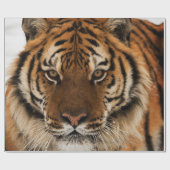 Head Shot of Sibirien Tiger Geschenkpapier (Flach)