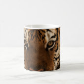 Head Shot of Sibirien Tiger Kaffeetasse (Mittel)