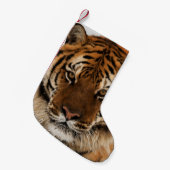 Head Shot of Sibirien Tiger Kleiner Weihnachtsstrumpf (Vorderansicht (hängend))