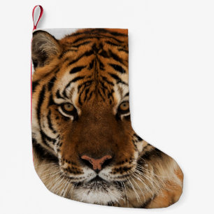Head Shot of Sibirien Tiger Kleiner Weihnachtsstrumpf