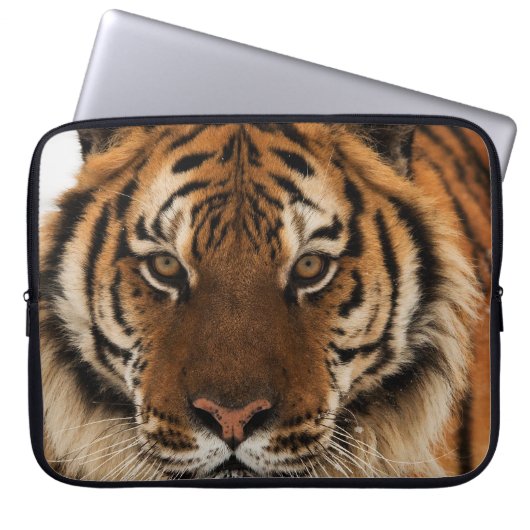 Head Shot of Sibirien Tiger Laptopschutzhülle (Vorderseite)