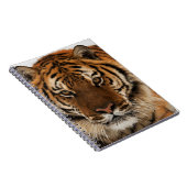Head Shot of Sibirien Tiger Notizblock (Rechte Seite)