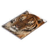 Head Shot of Sibirien Tiger Notizblock (Linke Seite)