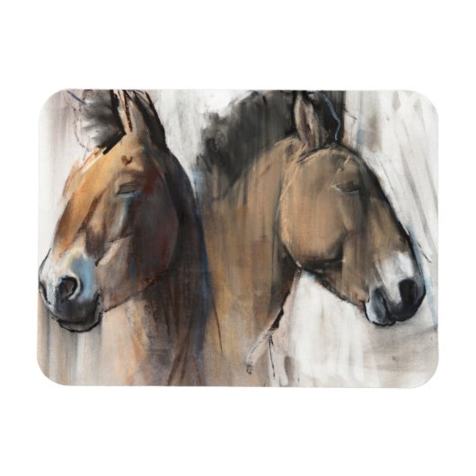 Head Study Magnet (Horizontal)
