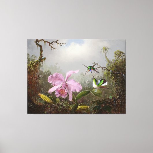 HEADE Cattleya Orchid mit brasilianischen Hummingb Leinwanddruck (Vorderseite)