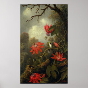Heade - Hummingbird und Passion-Blume Poster