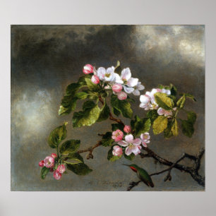 Heade - Kolibris und Apfelblüten Poster