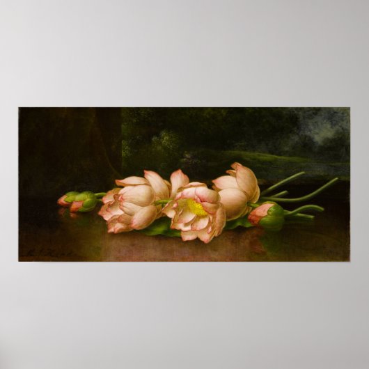 Heade - Lotus-Blume Poster (Vorne)