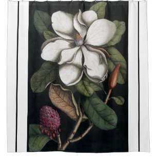 Heade Magnolia Blume Blossom Duschvorhang