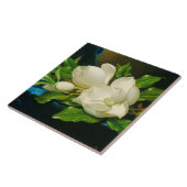 Heade Magnolia Blume Blüten Keramik Tile Fliese (Seite)