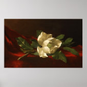 Heade - Magnolia Poster (Vorne)
