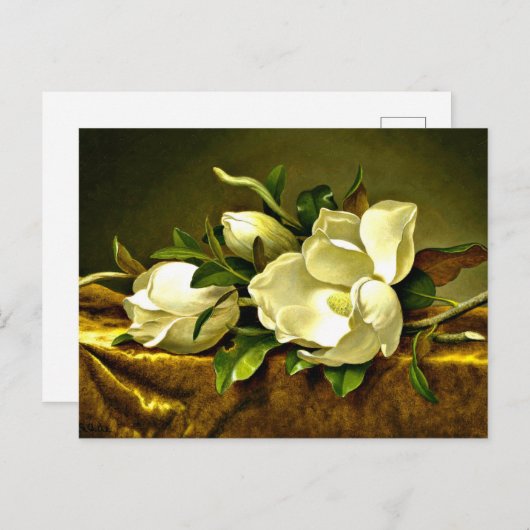 Heade - Magnolias auf goldenem Samttuch Postkarte (Vorne/Hinten)