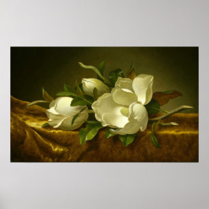 Heade - Magnolien auf goldenem Samtstoff Poster