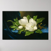 Heade - Riesenmagnolias auf einem blauen Samttuch Poster (Vorne)