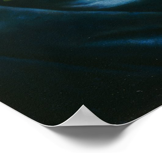 Heade - Riesenmagnolias auf einem blauen Samttuch Poster (Ecke)