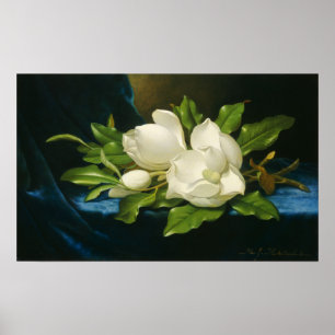 Heade - Riesenmagnolien auf einem blauen Samttuch Poster