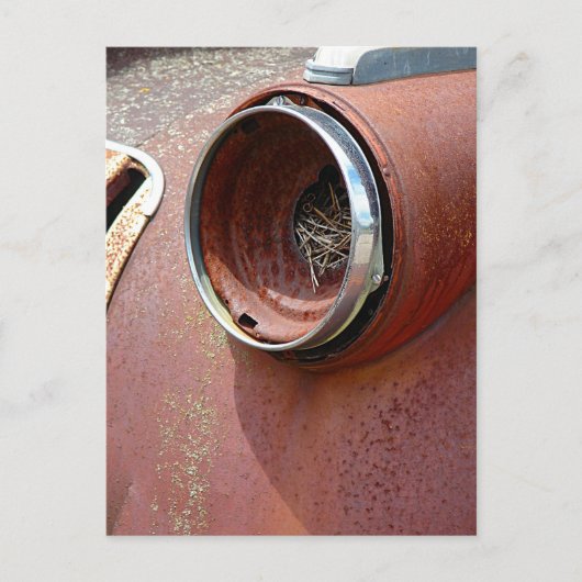 Headlight Nest Postkarte (Vorderseite)