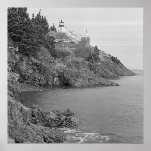 Headlight-Station der Eule Poster (Vorne)