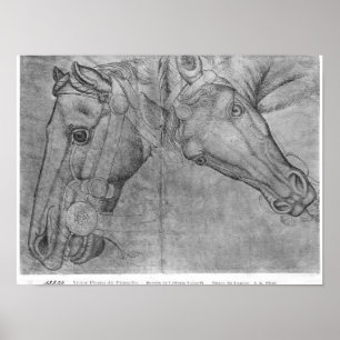 Heads of horses, from the The Vallardi Album Poster