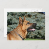 Headshot 1 postkarte (Vorne/Hinten)