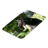 Headshot 2 magnet (Linke Seite)