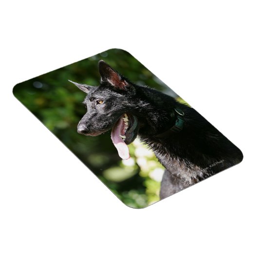 Headshot 2 magnet (Rechte Seite)