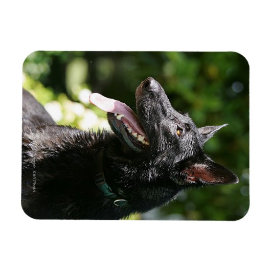 Headshot 2 magnet (Horizontal)