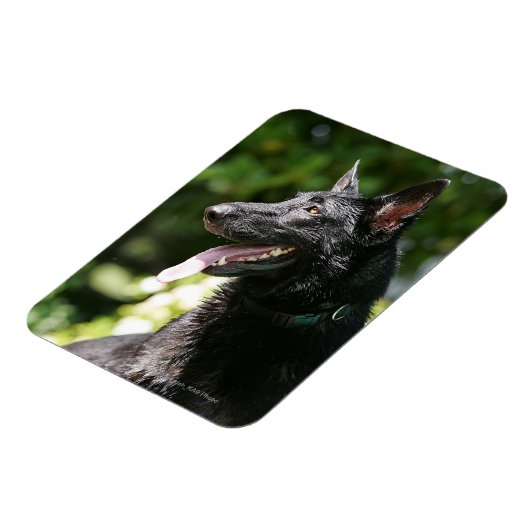 Headshot 2 magnet (Linke Seite)