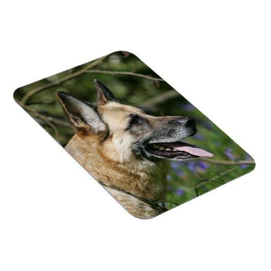 Headshot 3 magnet (Rechte Seite)