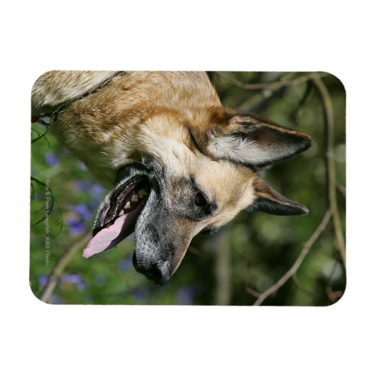 Headshot 3 magnet (Horizontal)