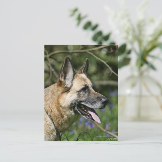 Headshot 3 postkarte (Stehend Vorderseite)