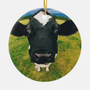 Headshot der friesischen Kuh Keramik Ornament