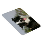 Headshot der Grenzflächendecke 1 Magnet (Rechte Seite)