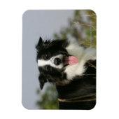 Headshot der Grenzflächendecke 1 Magnet (Vertikal)