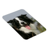 Headshot der Grenzflächendecke 1 Magnet (Rechte Seite)