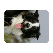 Headshot der Grenzflächendecke 1 Magnet (Horizontal)