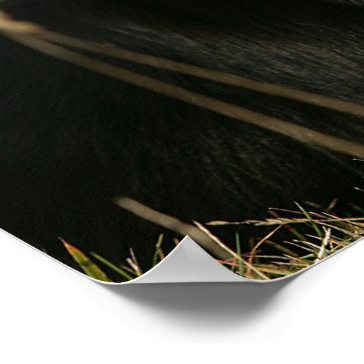 Headshot der Grenzflächendecke 1 Poster (Ecke)