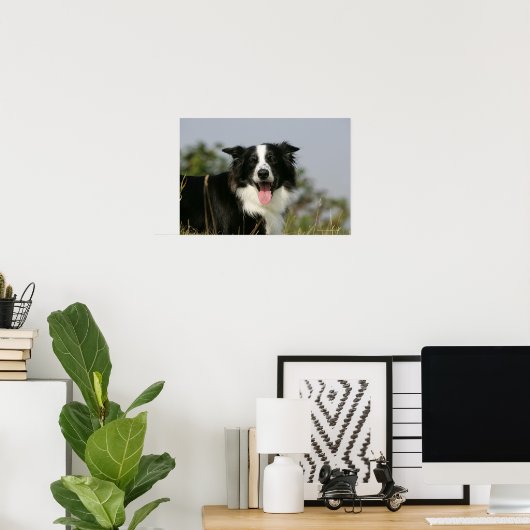 Headshot der Grenzflächendecke 1 Poster (Heimbüro)