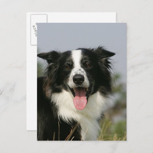 Headshot der Grenzflächendecke 1 Postkarte (Vorne/Hinten)