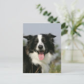 Headshot der Grenzflächendecke 1 Postkarte (Stehend Vorderseite)