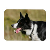 Headshot der Grenzflächendecke 2 Magnet (Horizontal)